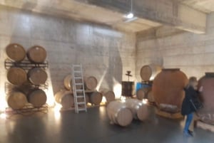 Private Tour to Silves Castle Whith Algarvian Wine Tasting