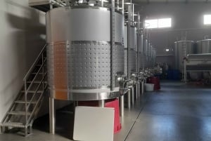 Private Tour to Silves Castle Whith Algarvian Wine Tasting