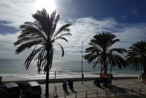 リスボンからアルガルヴェへ、またはその逆のコスタ・ヴィセンティーナへのプライベートツアーをご案内いたします。