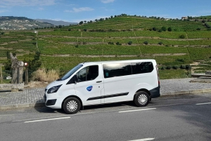 Private Transfer From Douro Valley To Algarve by Minibus