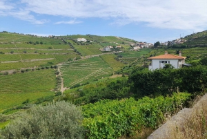 Private Transfer From Douro Valley To Algarve by Minibus