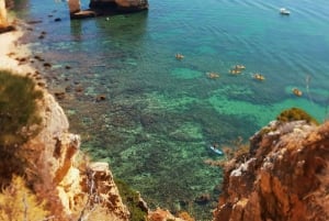 Private Transfer from Lisbon to the Algarve or vice versa