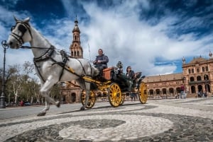 Private Transfer: Lagos to Seville