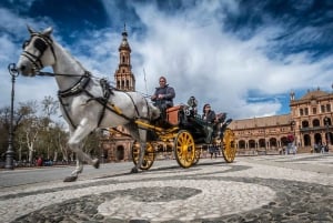 Private Transfer: Lagos to Seville