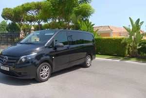 Privater Transfer: Von Sevilla an die Algarve (Bezirk Faro)