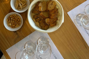 Quarteira: experiencia de cata de vinos portugueses