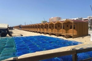 Visite de Tavira à Olhao aller retour en vélo