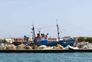 Ria Formosa: 2-Hour Fishermen Route Boat Tour