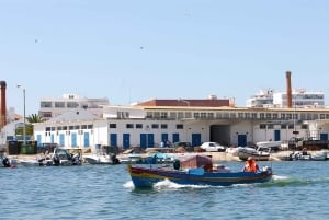 Ria Formosa: 2-Hour Fishermen Route Boat Tour