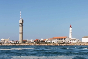 Ria Formosa: 2-Hour Fishermen Route Boat Tour
