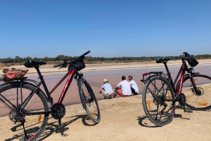Ria Formosa 3-Hour Bike Tour