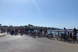 Tour in bici di 3 ore di Ria Formosa
