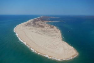 Ria Formosa: 3-godzinny rejs wycieczkowy na wyspy Armona i Culatra