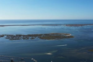 Ria Formosa: Armona and Culatra Islands Boat Tour