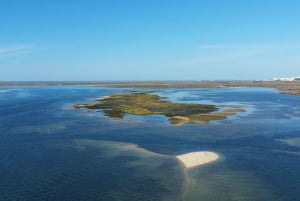 Ria Formosa: Armona and Culatra Islands Boat Tour