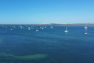 Ria Formosa: Armona and Culatra Islands Boat Tour