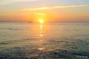 Ria Formosa Bout Tour with sunset - Olhão