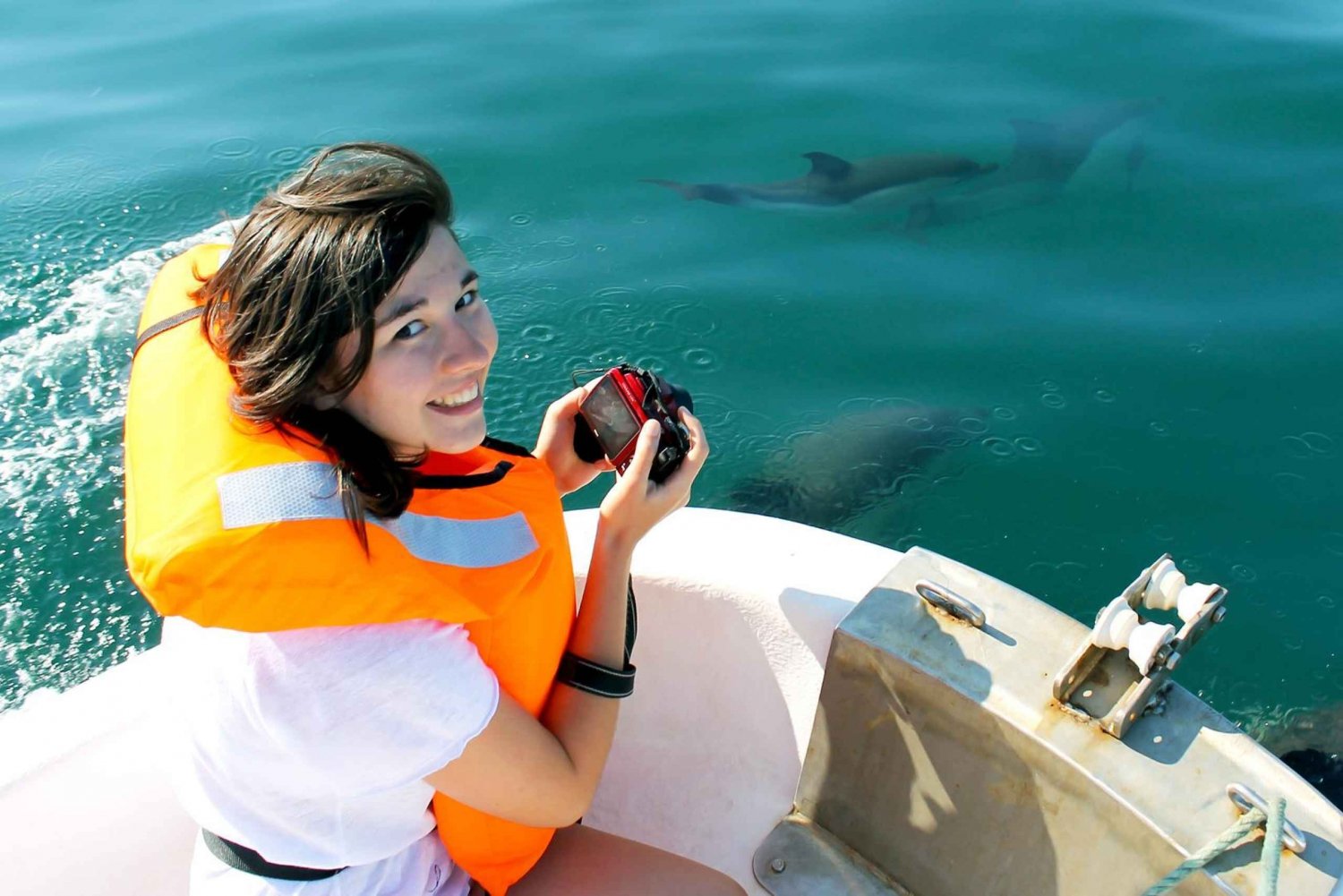 Ría Formosa: Tour en barco para avistar delfines