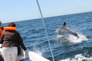Ria Formosa: Dolphin-Watching Boat Tour