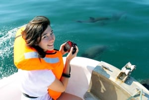 Ria Formosa: Dolphin-Watching Boat Tour