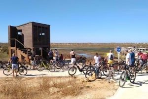 Ria Formosa: opastettu pyöräretki (3t), Início na Quinta do Lago (Início na Quinta do Lago)