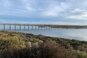 Ria Formosa: opastettu pyöräretki (3t), Início na Quinta do Lago (Início na Quinta do Lago)