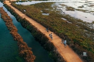 Ria Formosa: opastettu pyöräretki (3t), Início na Quinta do Lago (Início na Quinta do Lago)