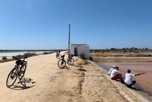 Ria Formosa: opastettu pyöräretki (3t), Início na Quinta do Lago (Início na Quinta do Lago)