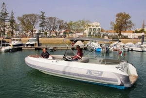 Ria Formosa Luxusboot - 5h private Bootstour