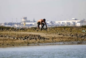 Ria Formosa National Park: Kayak Trip