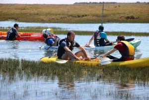 Ria Formosa National Park: Kayak Trip