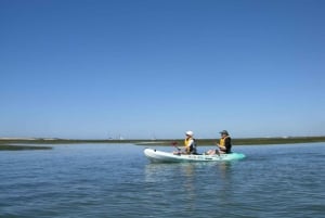 Ria Formosa National Park: Kayak Trip