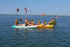 Ria Formosa National Park: Kayak Trip