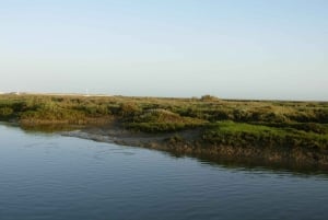 Ria Formosa National Park: Kayak Trip