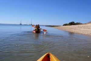 Ria Formosa National Park: Kayak Trip