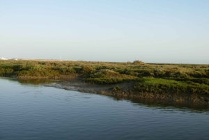 Ria Formosa National Park: Kayak Trip
