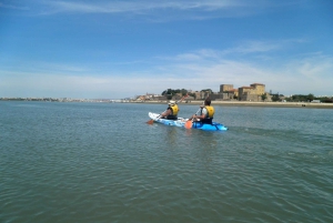 Ria Formosa National Park: Kayak Trip