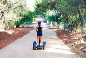 Tour in Segway del Parco Nazionale Ria Formosa e pranzo a base di pesce