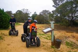 Tour in Segway del Parco Nazionale Ria Formosa e pranzo a base di pesce