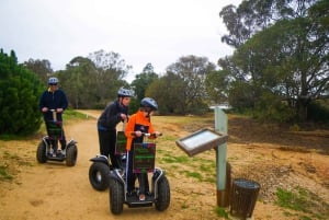 Ria Formosan kansallispuiston Segway-kierros ja mereneläviä sisältävä lounas