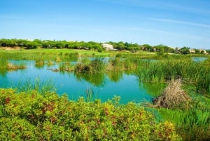 Ria Formosan kansallispuiston Segway-kierros ja mereneläviä sisältävä lounas