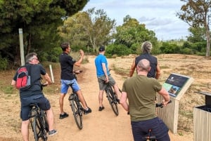 Ria Formosa, Natural Park - Guided Bike Tour (3h)