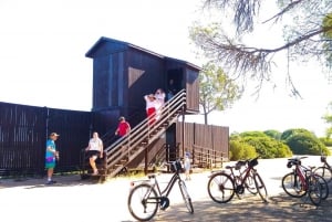 Ria Formosa, Natural Park - Guided Bike Tour (3h)