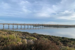 Ria Formosa, Natural Park - Guided Bike Tour (3h)