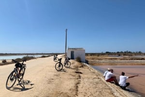 Ria Formosa, Natural Park - Guided Bike Tour (3h)