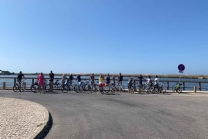 Ria Formosa, Natural Park - Guided Bike Tour (3h)