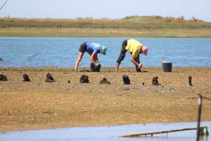 Ria Formosa: passeio de barco saindo de Olhão