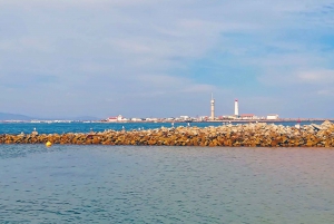 Ria Formosa: passeio de barco saindo de Olhão