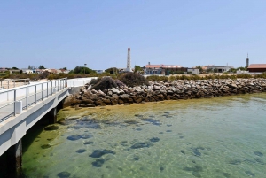 Ria Formosa: passeio de barco saindo de Olhão