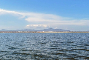 Ria Formosa : excursion en bateau depuis Olhão